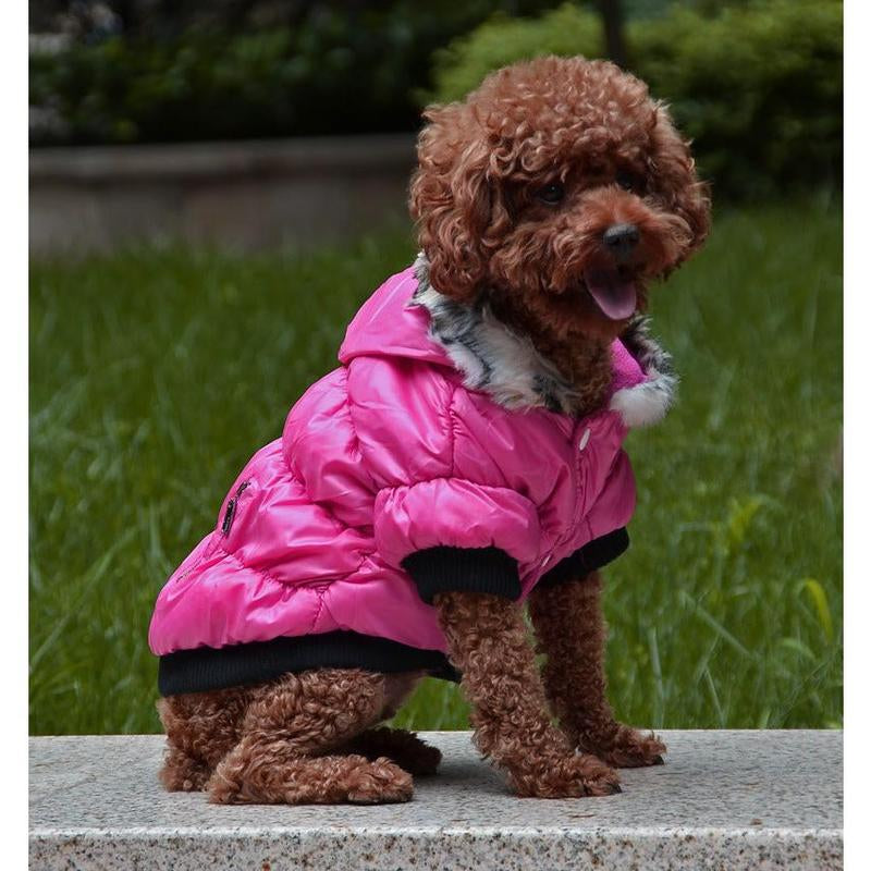 Zippered Cotton Padded Clothes for Pets