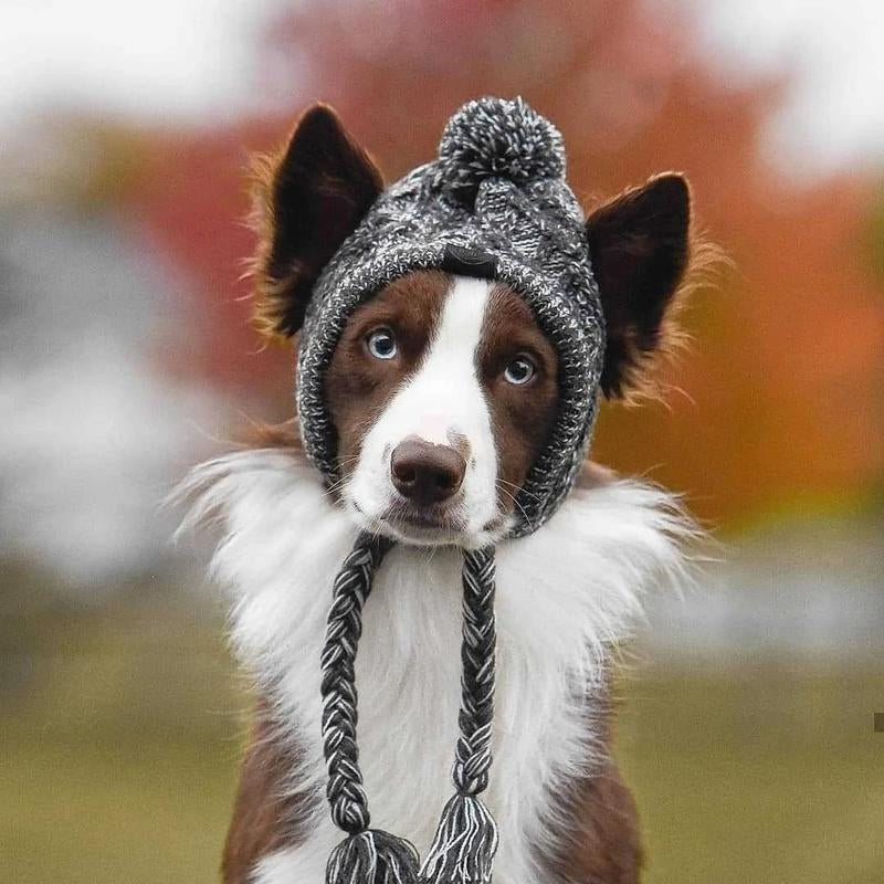 Warm Winter Pet Hat Coat Dog Clothes