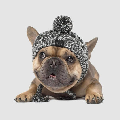 Warm Winter Pet Hat Coat Dog Clothes